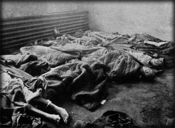 Inside Auschwitz Camp; the bodies of dead prisoners tell their own tale of horror
